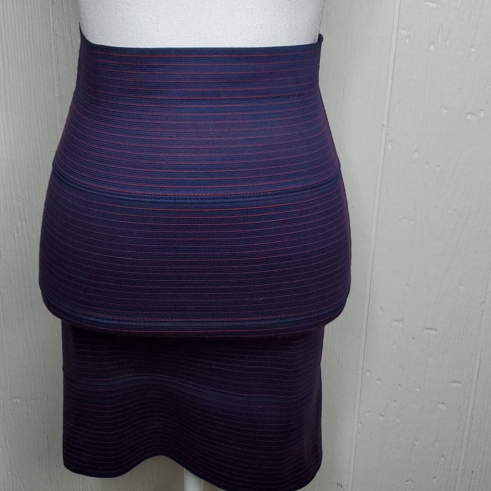 NWOT Pleasure Doing Business skirt